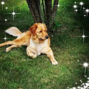 Meet your Posher, Phaedra